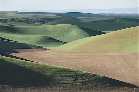 simsearch:6118-07440901,k - A view over green rolling hills and farmed fields. Stock Photo - Premium Royalty-Free, Code: 6118-07352711