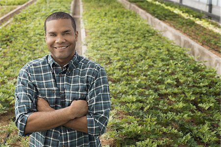 A man working in a large greenhouse, or glasshouse full of organic plants. Photographie de stock - Premium Libres de Droits, Code: 6118-07352897