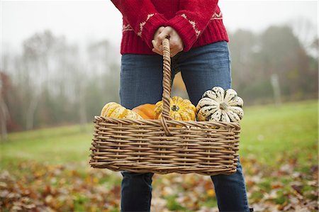 A woman in a red knitted jumper holding a basket of vegetables, gourds and squashes. Organic farming. Stock Photo - Premium Royalty-Free, Code: 6118-07353449