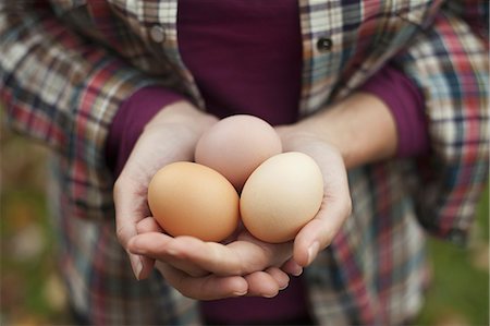 simsearch:6118-07353446,k - A woman holding a clutch of freshly laid hen's eggs. Stock Photo - Premium Royalty-Free, Code: 6118-07353452