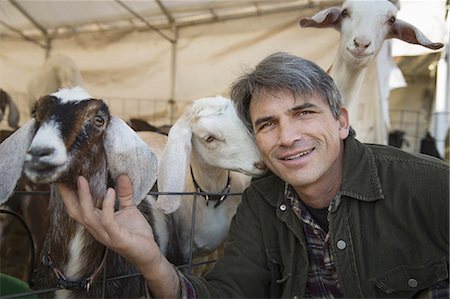 A man with a group of goats in a pen. Livestock farming. Goats kept for meat and milk. Stock Photo - Premium Royalty-Free, Code: 6118-07353458