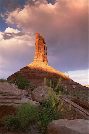 simsearch:6118-07353866,k - The Princess Plume rock pillar, eroded gritstone pillar on the top of a rise, in the Valley of the Gods. Stock Photo - Premium Royalty-Free, Code: 6118-07353863
