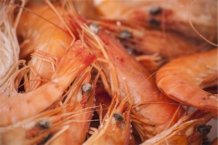 A dish of freshly cooked prawns with shells, heads and tails on. Seafood. Stock Photo - Premium Royalty-Free, Code: 6118-07354002