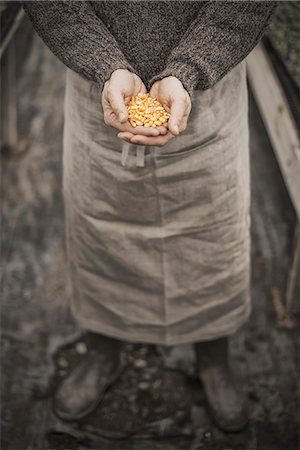 plants with seeds - Spring Planting. A man holding a handful of plant seeds in his cupped hands. Stock Photo - Premium Royalty-Free, Code: 6118-07354190