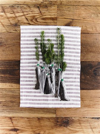 simsearch:6118-08521776,k - Overhead view of a bunch of evergreen fir tree saplings with roots protected and covered, ready for planting. Stock Photo - Premium Royalty-Free, Code: 6118-07354240
