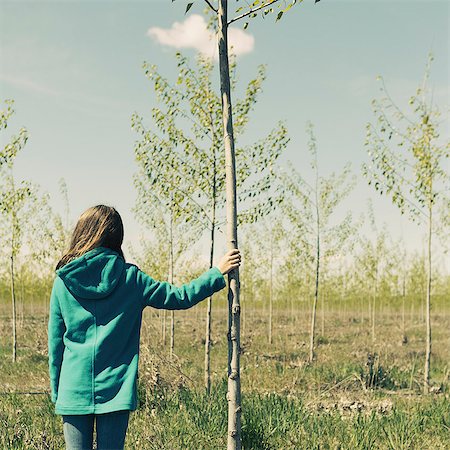 Ten year old girl standing next to commercially grown poplar tree on large tree farm, near Pendleton, Oregon. Stock Photo - Premium Royalty-Free, Code: 6118-07354258