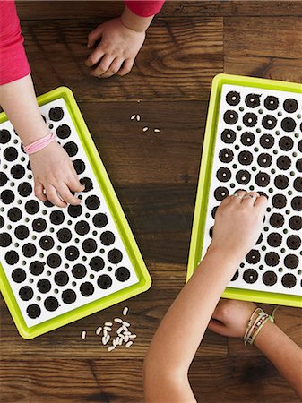 sow - View from overhead of two children planting seeds into a seed growing tray. Stock Photo - Premium Royalty-Free, Code: 6118-07354233