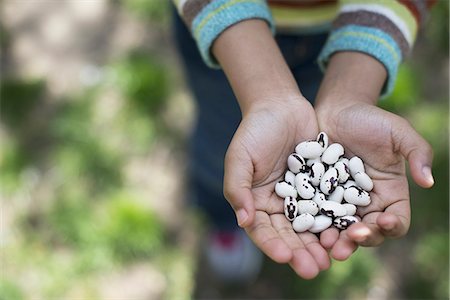 A New York city park in the spring. A young boy holding out a handful of beans. Stock Photo - Premium Royalty-Free, Code: 6118-07354677