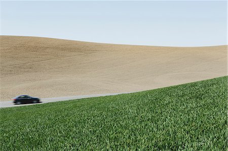Car driving on road, surrounded by farmland and lush, green field of wheat, near Pullman Stock Photo - Premium Royalty-Free, Code: 6118-07354618