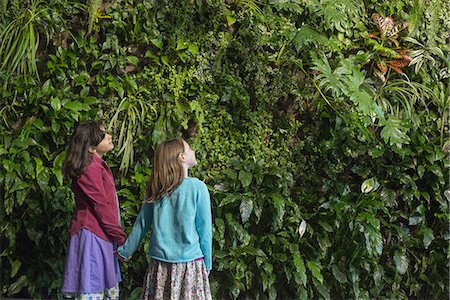 simsearch:6118-07354682,k - Outdoors in the city in spring. An urban lifestyle. Two children holding hands and looking up at a wall covered with growing foliage, of a large range of plants. Stock Photo - Premium Royalty-Free, Code: 6118-07354752