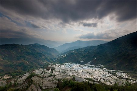 simsearch:6118-07440901,k - Terraced rice fields, Yuanyang, China Stock Photo - Premium Royalty-Free, Code: 6118-07440147