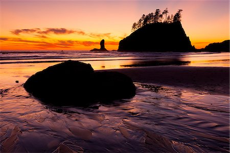simsearch:6118-07353866,k - Second Beach at sunset in Olympic National Park, Washington, USA Stock Photo - Premium Royalty-Free, Code: 6118-07440466