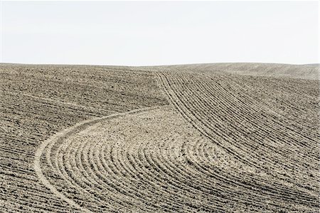 simsearch:6118-07440901,k - Ploughed earth furrows, patterns on the surface of the soil on farmland near Pullman, Washington, USA Stock Photo - Premium Royalty-Free, Code: 6118-07440902