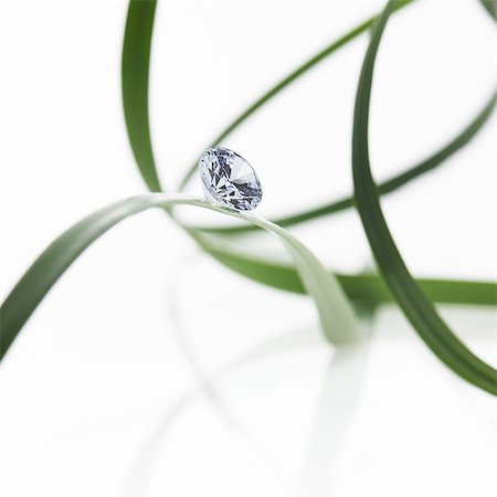 Thin strap green leaves or leaf strands with a small glass bead or gem, with cut facets reflecting the light. Photographie de stock - Premium Libres de Droits, Code: 6118-07439832