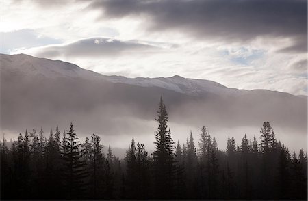 Misty conditions over the landscape and forest, Jasper National Park, Alberta, Canada Foto de stock - Sin royalties Premium, Código: 6118-07439980