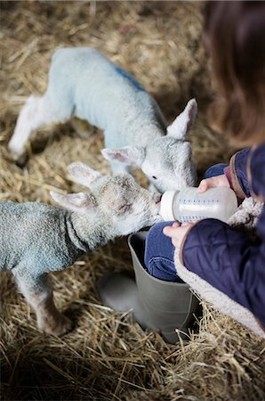 simsearch:6118-07731886,k - A girl bottle feeding a small hungry lamb. Stock Photo - Premium Royalty-Free, Code: 6118-07731810