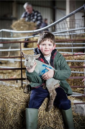 simsearch:6118-07731886,k - Children and new-born lambs in a lambing shed. Stock Photo - Premium Royalty-Free, Code: 6118-07731812