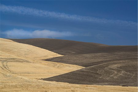 simsearch:6118-07440901,k - The contours of farmed land in Palouse county, Washington State, USA Stock Photo - Premium Royalty-Free, Code: 6118-07731827