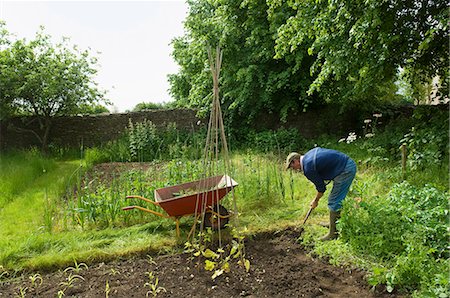 sow - A man digging his vegetable garden, and planting young plants. Stock Photo - Premium Royalty-Free, Code: 6118-07731977