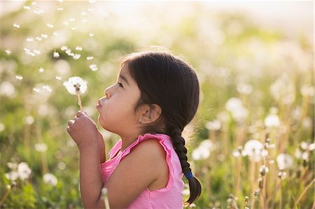 A young child in a field of flowers, blowing the fluffy seeds off a dandelion seedhead clock. Stock Photo - Premium Royalty-Free, Code: 6118-07732073
