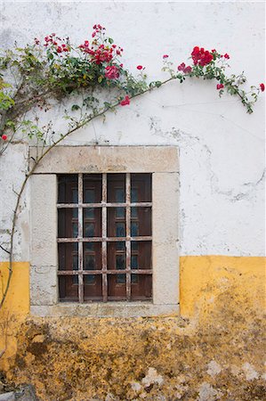 A house wall with roses flowering above a small window. Stock Photo - Premium Royalty-Free, Code: 6118-07732091