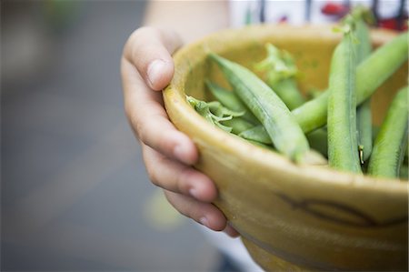simsearch:6118-07808971,k - Person holding bowl of freshly picked peas. Stock Photo - Premium Royalty-Free, Code: 6118-07808964