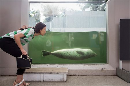 pinnipedia - A woman crouching by a marine tank at an aquarium exhibit.  An animal in the water. Photographie de stock - Premium Libres de Droits, Code: 6118-07813200
