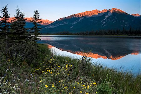 simsearch:6118-08521813,k - Mountains reflected in a lake and a meadow of wild flowers in the Canadian Rockies. Stock Photo - Premium Royalty-Free, Code: 6118-08140252
