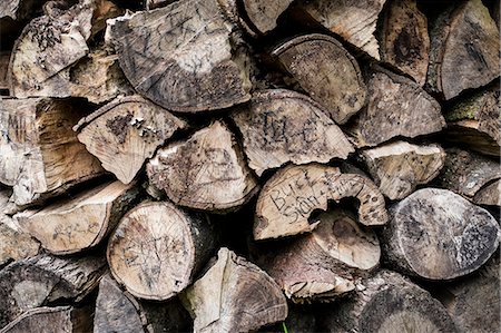 simsearch:630-06723923,k - A neatly stacked pile of logs, a firewood log store. Stock Photo - Premium Royalty-Free, Code: 6118-08227044