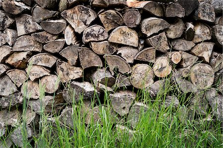 simsearch:630-06723923,k - A neatly stacked pile of logs, a firewood log store. Stock Photo - Premium Royalty-Free, Code: 6118-08227045