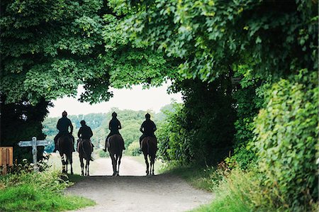simsearch:6102-08542382,k - Rear view of a four riders on brown horses riding along a path. Stock Photo - Premium Royalty-Free, Code: 6118-08882890