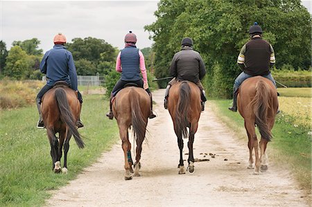 simsearch:6102-08542382,k - A string or group of riders on thoroughbred horses riding along a path. Racehorses in training. Routine exercise. Stock Photo - Premium Royalty-Free, Code: 6118-08882892