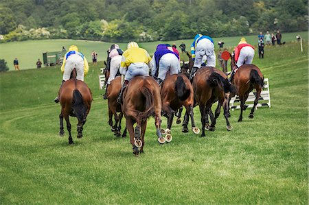 sports venue - Group of riders on racehorses  racing on a course, during a steeplechase. Stock Photo - Premium Royalty-Free, Code: 6118-08882931