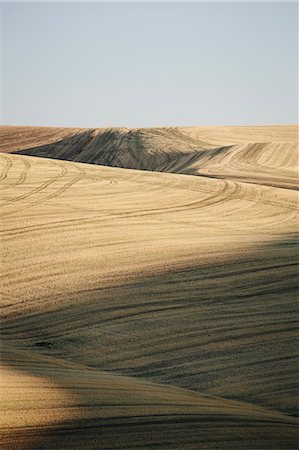 Harvested wheat field  and rolling hills, Palouse, Washington Stock Photo - Premium Royalty-Free, Code: 6118-08827582
