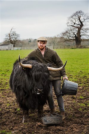 simsearch:6118-07731886,k - A farmer with a large black highland cow with horns. Stock Photo - Premium Royalty-Free, Code: 6118-08947743