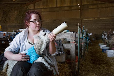 simsearch:6118-07731886,k - Young woman sitting in a barn, feeding a newborn lamb with milk from a bottle. Lamb dressed in a knitted blue jumper. Stock Photo - Premium Royalty-Free, Code: 6118-08947737