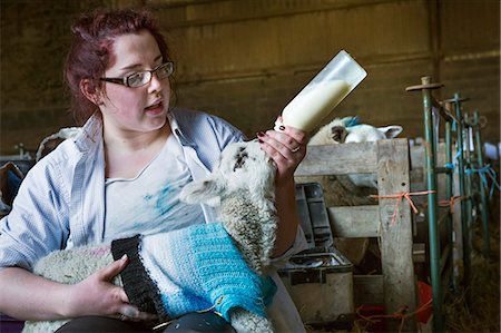 simsearch:6118-07731886,k - Young woman sitting in a barn, feeding a newborn lamb with milk from a bottle. Lamb dressed in a knitted blue jumper. Stock Photo - Premium Royalty-Free, Code: 6118-08947739