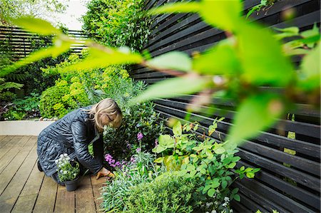 Woman kneeling on a wooden deck, planting flower in a flowerbed. Stock Photo - Premium Royalty-Free, Code: 6118-08971394
