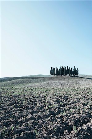 simsearch:6118-08521813,k - A Tuscan landscape, ploughed fields and view to a small rise and a grove of cypress trees. Stock Photo - Premium Royalty-Free, Code: 6118-08928327