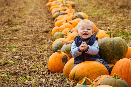 recolección - A small boy sitting among rows of bright yellow, green and orange pumpkins laughing and clapping his hands. Foto de stock - Sin royalties Premium, Código: 6118-09059683