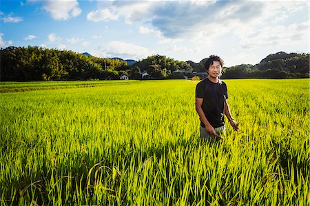 A rice farmer standing in a field of green crops, a rice paddy with lush green shoots. Stockbilder - Premium RF Lizenzfrei, Bildnummer: 6118-09079768