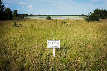 simsearch:400-04587823,k - White 'Keep Off' sign on a meadow with river and trees in the distance. Stock Photo - Premium Royalty-Free, Code: 6118-09018609