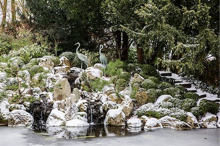 simsearch:6118-08521813,k - A rockery above a water pool with ice sheets on the water surface and yew trees above. Stock Photo - Premium Royalty-Free, Code: 6118-09148358