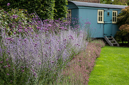 flower agriculture image - Garden with lawn, flowerbed with lavender and blue vardo in the background. Photographie de stock - Premium Libres de Droits, Code: 6118-09183397