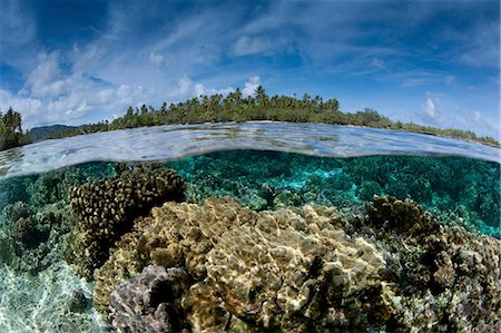 Over/under of the seabed between two small islands near Taha'a,  in French Polynesia. Fast flowing water nourishes the coral. Stock Photo - Premium Royalty-Free, Code: 6118-09112150