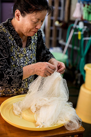 Japanese woman standing in a textile plant dye workshop, holding piece of sheer white fabric. Stock Photo - Premium Royalty-Free, Code: 6118-09200452