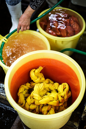 High angle view of bright yellow and orange fabric in plastic buckets in a textile plant dye workshop. Stock Photo - Premium Royalty-Free, Code: 6118-09200431