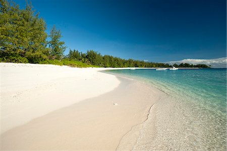 Denis Island, Seychelles, Indian Ocean, Africa Stock Photo - Premium Royalty-Free, Code: 6119-07443737