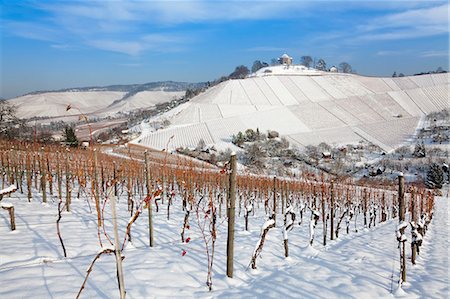 simsearch:6119-07451735,k - Wurttemberg Mausoleum in the vineyards in winter, Stuttgart-Rotenberg, Baden Wurttemberg, Germany, Europe Stock Photo - Premium Royalty-Free, Code: 6119-07451767