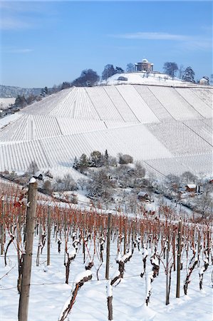 simsearch:6119-07451735,k - Wurttemberg Mausoleum in the vineyards in winter, Stuttgart-Rotenberg, Baden Wurttemberg, Germany, Europe Stock Photo - Premium Royalty-Free, Code: 6119-07451768